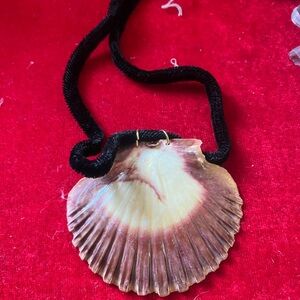 Natural Shell Pendant Necklace in Cream and Brown